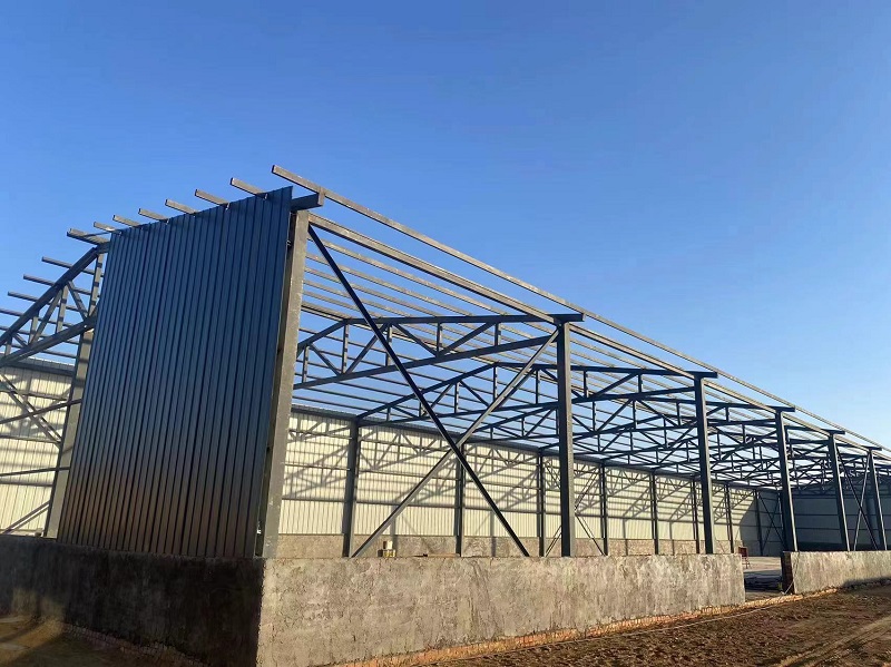 黑石鎮(zhèn)千頭和牛育肥場建設項目.jpg